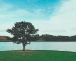 Điểm dừng chân hấp dẫn trong tour Đà Lạt 3 ngày 2 đêm