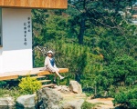 Gợi Ý Tour Đà Lạt 3 Ngày 3 Đêm Giá Rẻ Nhất Định Không Được Bỏ Qua