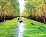 Gợi ý lịch trình tour du lịch miền Tây 2 ngày 1 đêm 