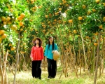 Hành trình trải nghiệm tour Miền Tây 1 ngày Bến Tre