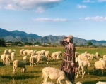 Bí kíp làm trọn vẹn tour Ninh Chữ 2 ngày 2 đêm